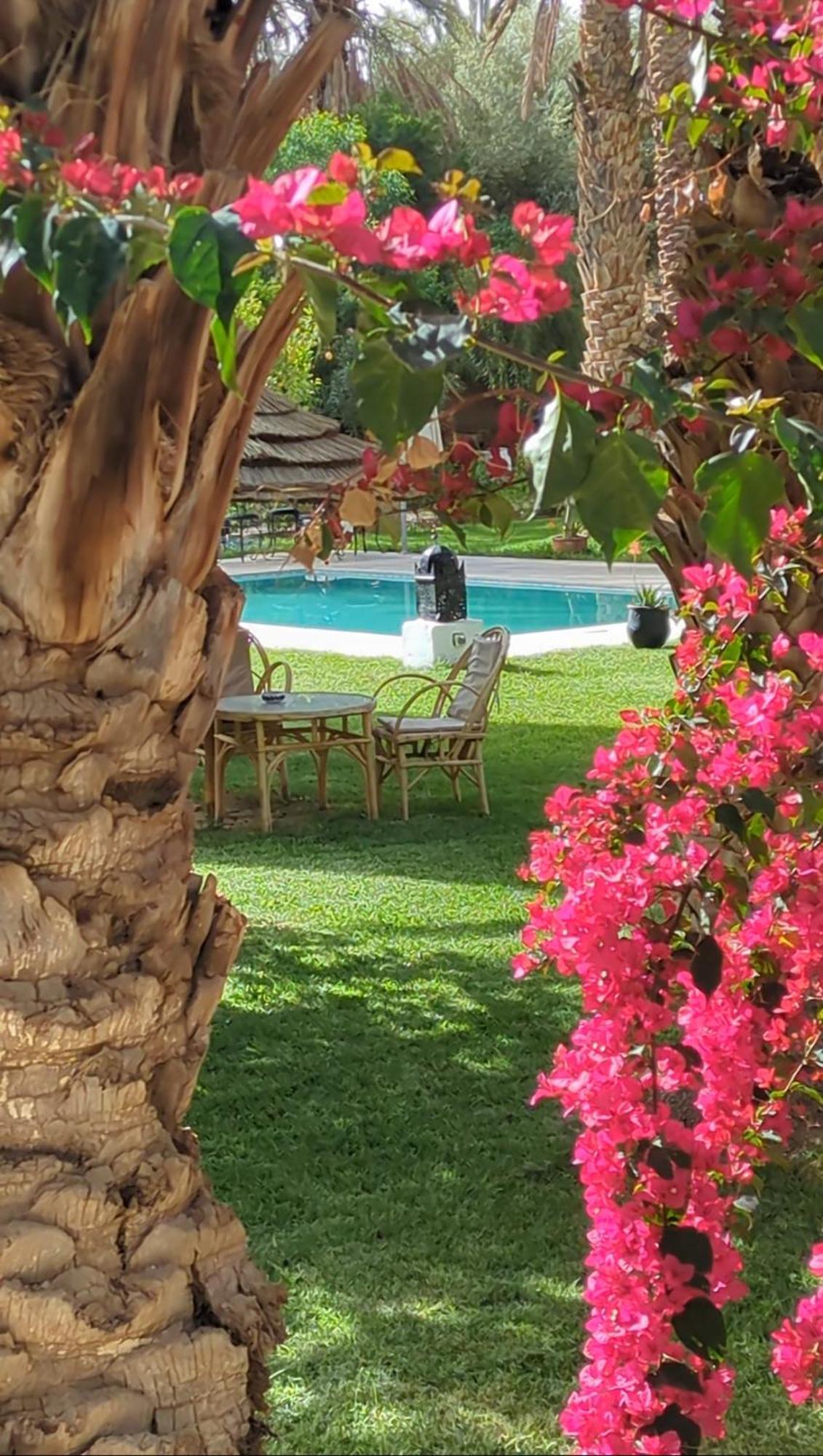 Maison D Hote Ighrem Goulmima Εξωτερικό φωτογραφία